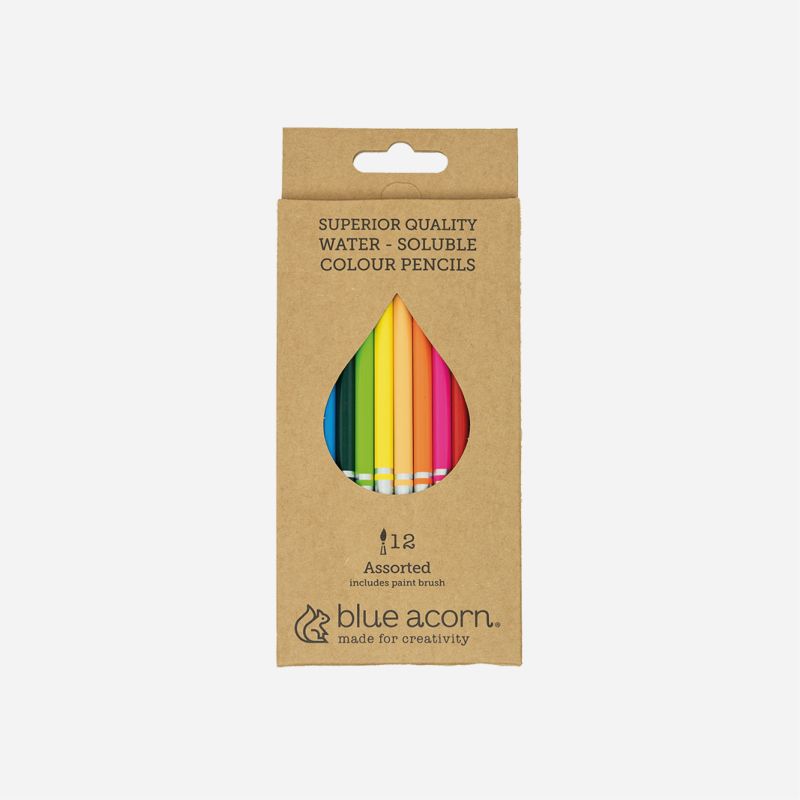 BLUE ACORN 12 WATERSOLUBLE PENCIL ASSORTED COLOURS