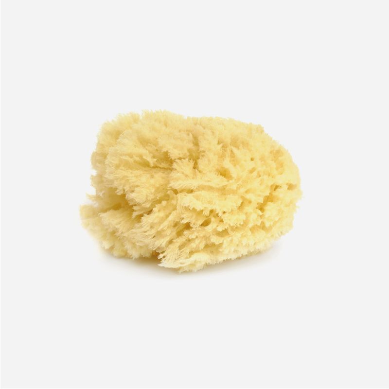 FINE ART SPONGE MIX 6 ASSORTED