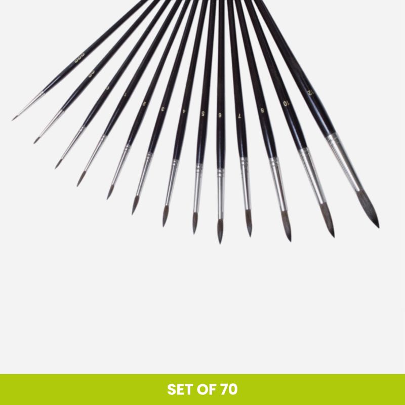 BLACKBIRD BRUSH 4002R SET OF 70
