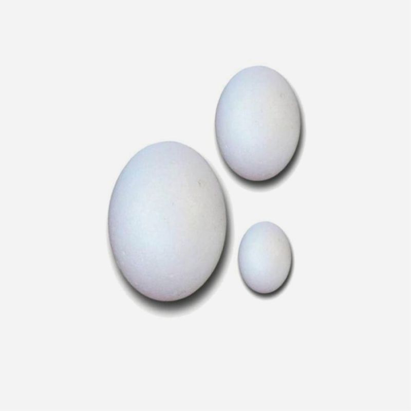 POLYSTYRENE EGGS 38