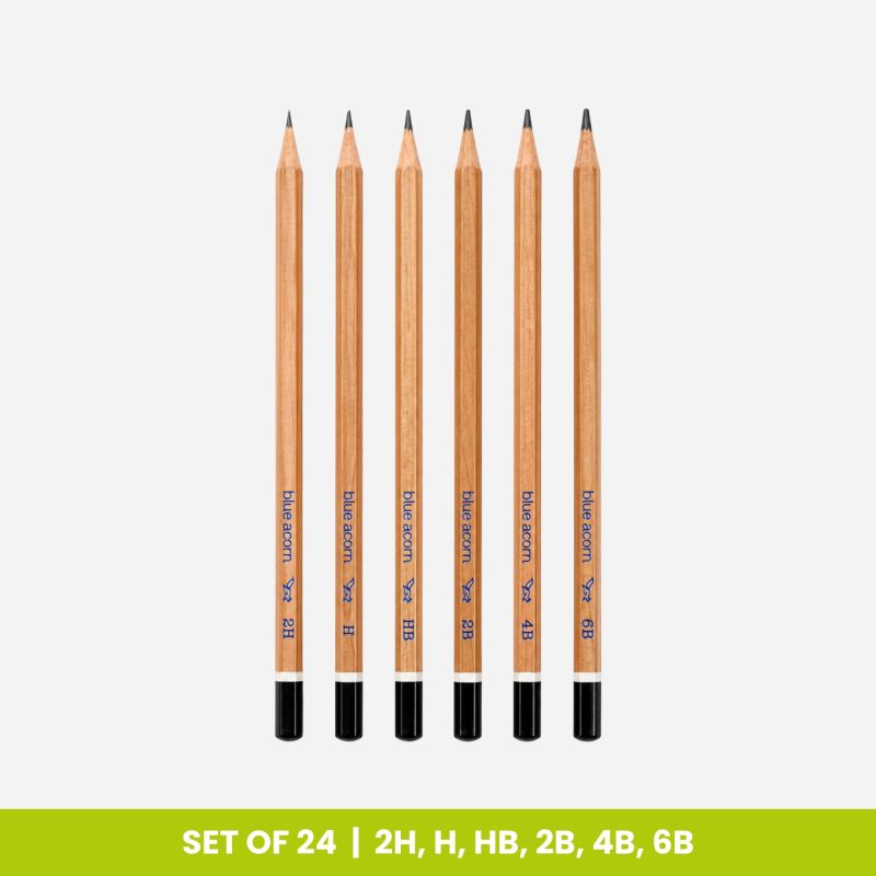 BLUE ACORN GRAPHITE SKETCHING PENCIL SET OF 24