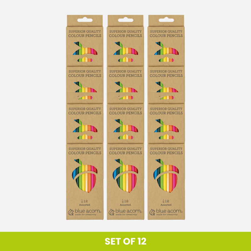 BLUE ACORN COLOURED PENCIL CRAYONS 12 ASSORTED BULK PACK OF 12