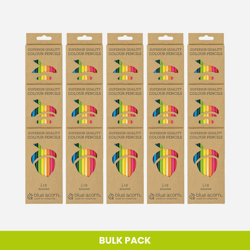 BLUE ACORN COLOURED PENCIL CRAYONS 12 ASSORTED BULK PACKS