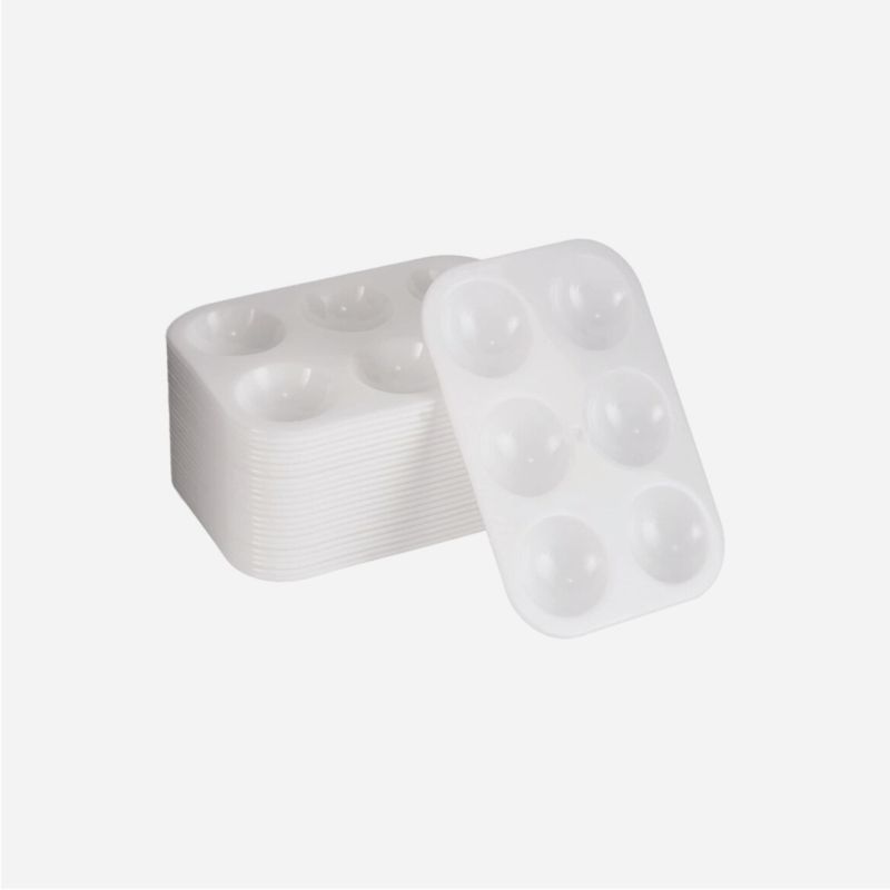PLASTIC RECTANGULAR 6 WELL PALETTE     6607