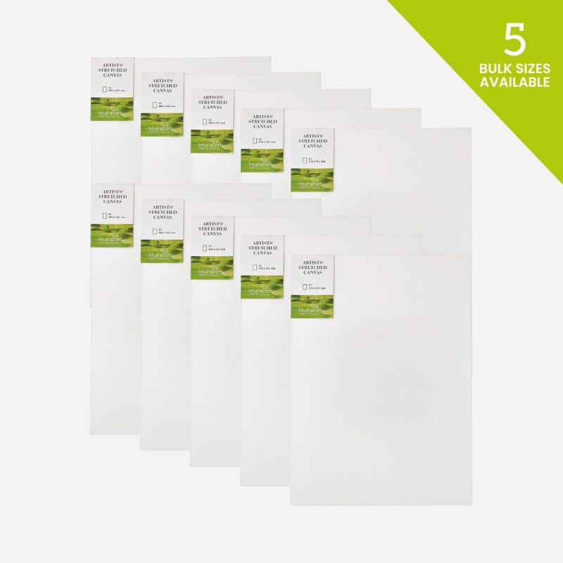 STRETCHED CANVAS 18mm BULK BOX OF 10