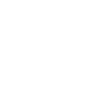 Lock icon